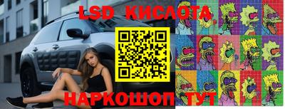 дмт Моздок